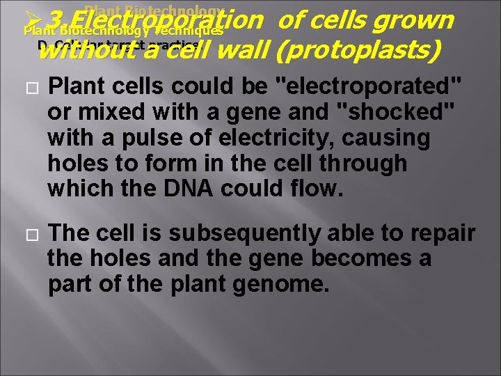 Ø 3. Electroporation of cells grown without a cell wall (protoplasts) Plant Biotechnology Techniques