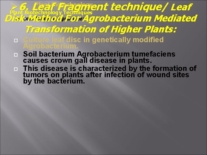 Plant Biotechnology Ø 6. Leaf Fragment technique/ Leaf Plant Biotechnology Techniques D. Cellular target
