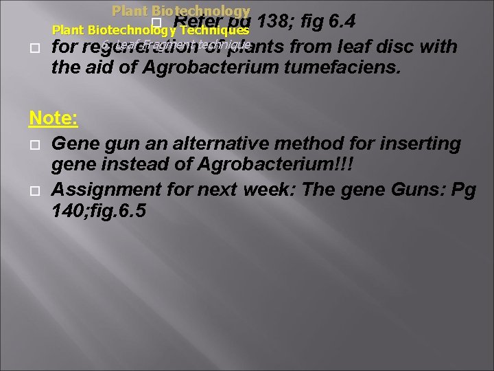 Plant Biotechnology Refer pg Plant Biotechnology Techniques 138; fig 6. 4 6. Leaf Fragment