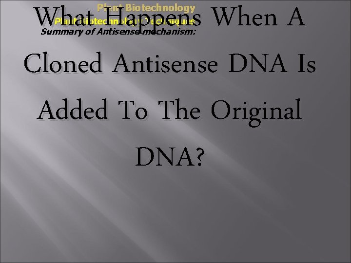 What Happens When A Cloned Antisense DNA Is Added To The Original DNA? Plant