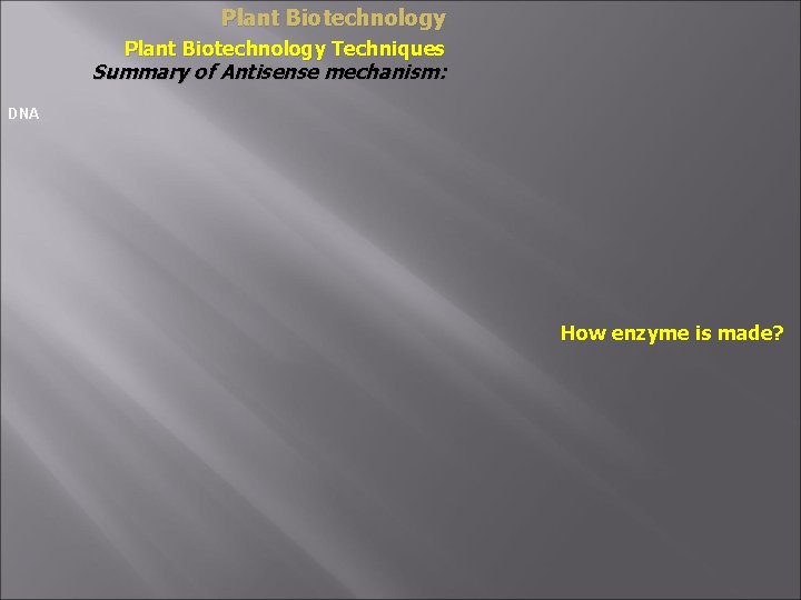 Plant Biotechnology Techniques Summary of Antisense mechanism: DNA How enzyme is made? 