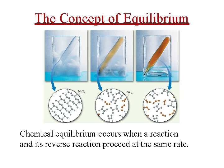The Concept of Equilibrium Chemical equilibrium occurs when a reaction and its reverse reaction