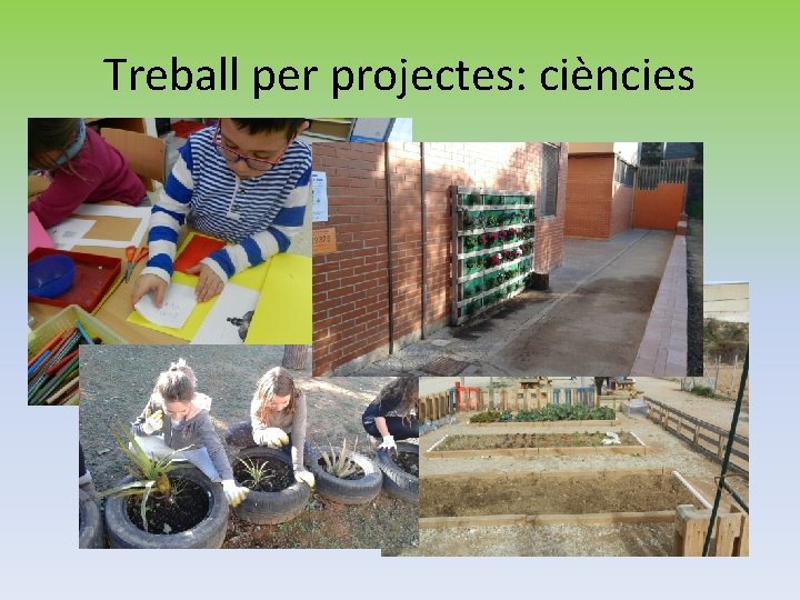 Treball per projectes: ciències 