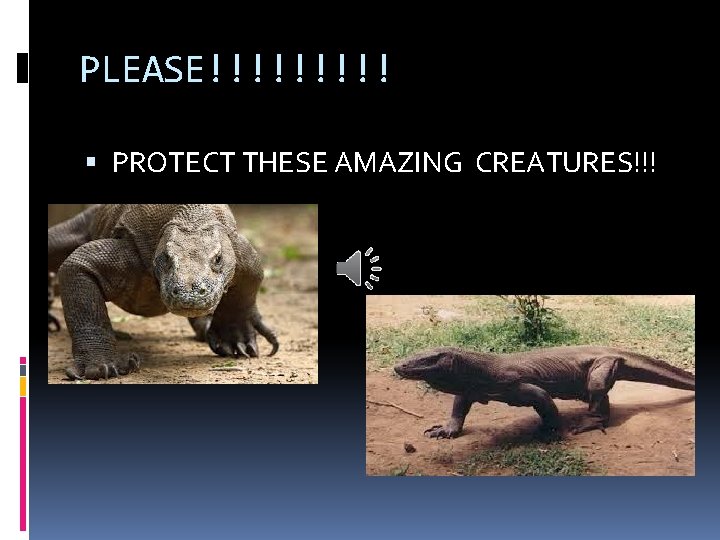 PLEASE!!!!! PROTECT THESE AMAZING CREATURES!!! 