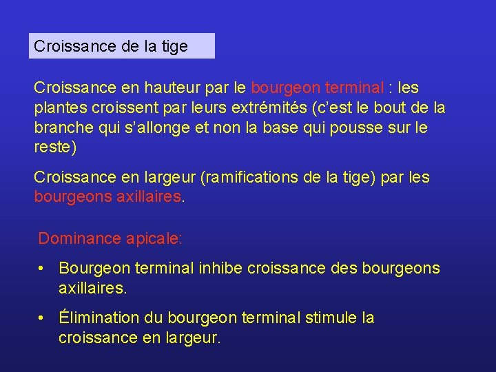 Croissance de la tige Croissance en hauteur par le bourgeon terminal : les plantes