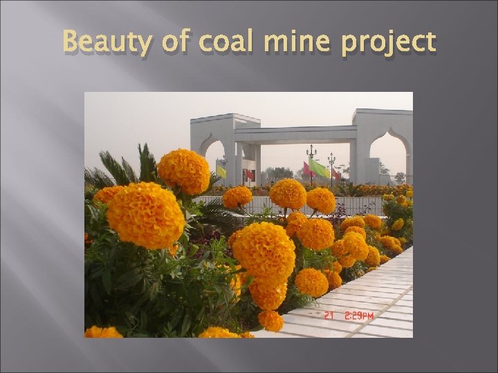 Beauty of coal mine project 