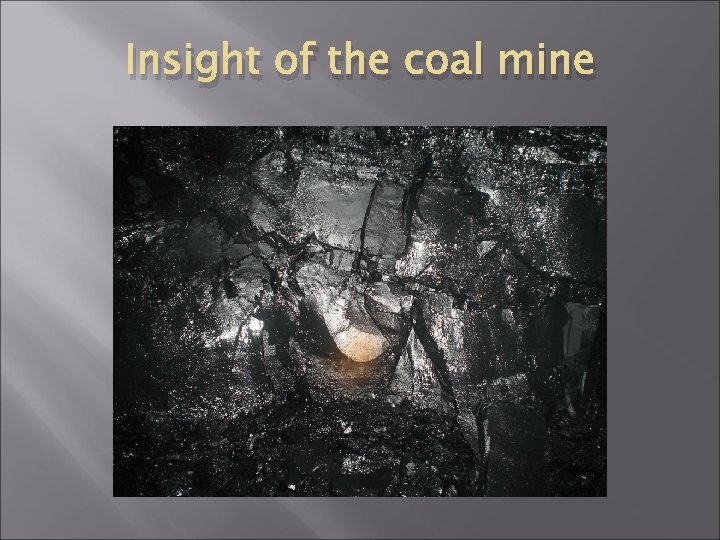 Insight of the coal mine 