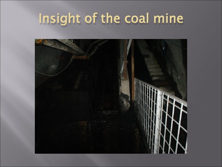 Insight of the coal mine 