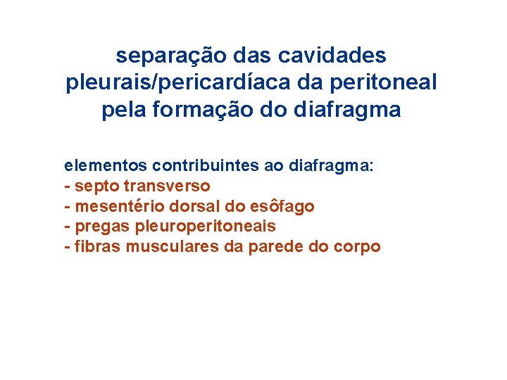 separação das cavidades pleurais/pericardíaca da peritoneal pela formação do diafragma elementos contribuintes ao diafragma: