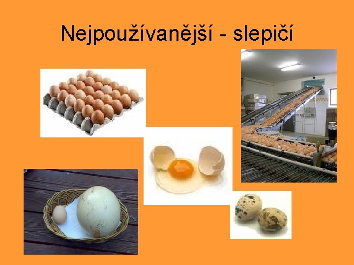 Nejpoužívanější - slepičí 