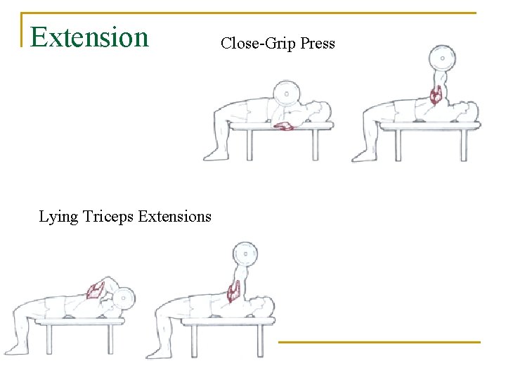 Extension Close-Grip Press Lying Triceps Extensions 
