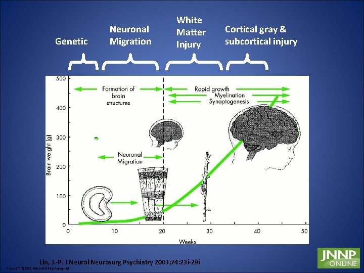 Genetic Neuronal Migration White Matter Injury Lin, J. -P. J Neurol Neurosurg Psychiatry 2003;