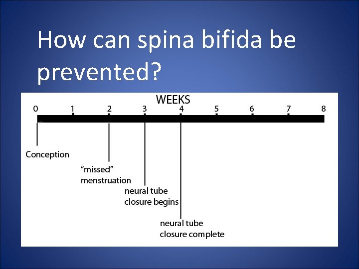 How can spina bifida be prevented? 