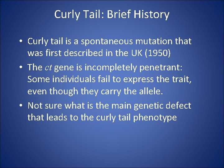 Curly Tail: Brief History • Curly tail is a spontaneous mutation that was first