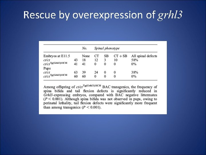 Rescue by overexpression of grhl 3 