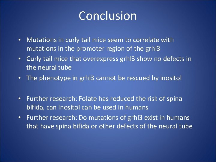 Conclusion • Mutations in curly tail mice seem to correlate with mutations in the