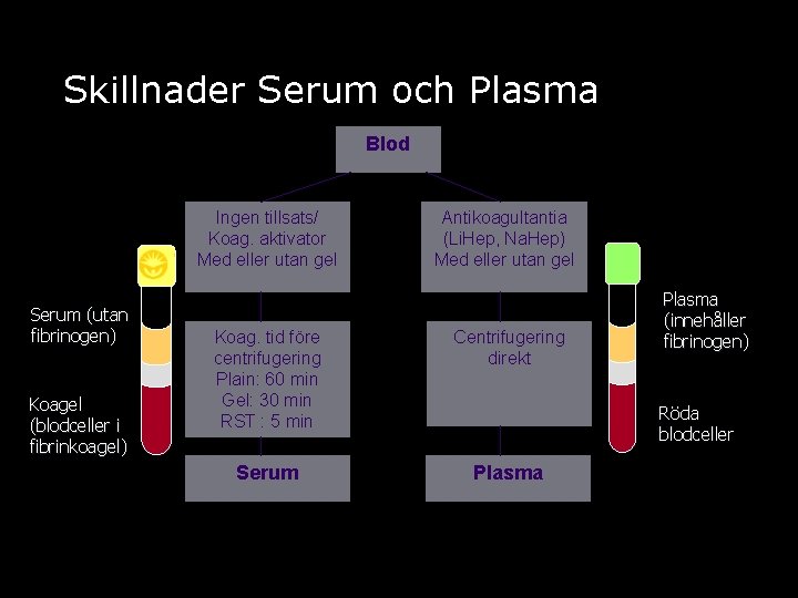 Skillnader Serum och Plasma Blod Ingen tillsats/ Koag. aktivator Med eller utan gel Serum