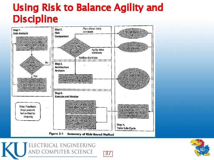 Using Risk to Balance Agility and Discipline 37 