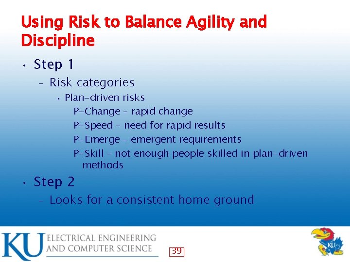 Using Risk to Balance Agility and Discipline • Step 1 – Risk categories •