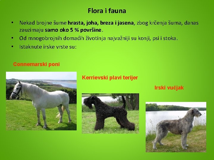 Flora i fauna • Nekad brojne šume hrasta, joha, breza i jasena, zbog krčenja