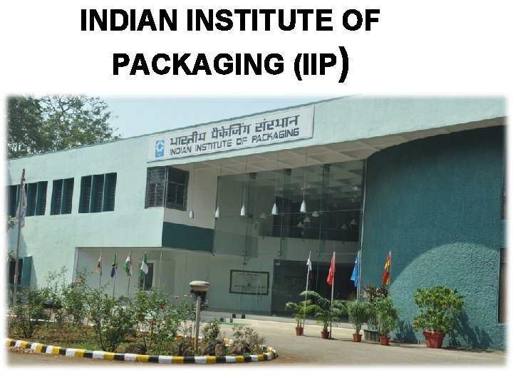 INDIAN INSTITUTE OF PACKAGING (IIP) 