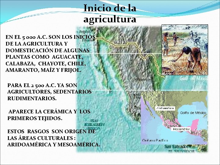 Inicio de la agricultura EN EL 5 000 A. C. SON LOS INICIOS DE