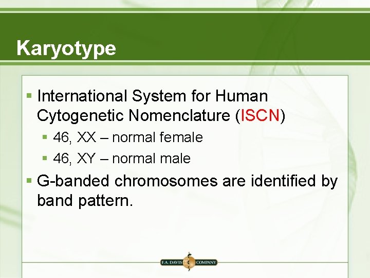 Karyotype § International System for Human Cytogenetic Nomenclature (ISCN) § 46, XX – normal