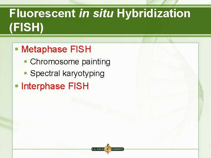 Fluorescent in situ Hybridization (FISH) § Metaphase FISH § Chromosome painting § Spectral karyotyping