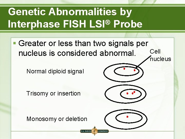 Genetic Abnormalities by Interphase FISH LSI Probe § Greater or less than two signals