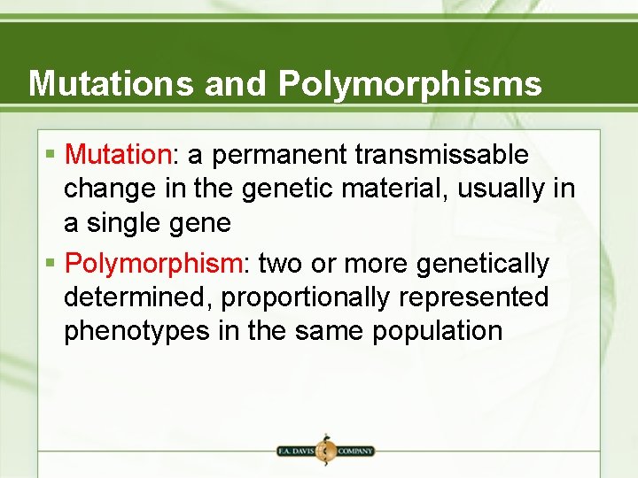 Mutations and Polymorphisms § Mutation: a permanent transmissable change in the genetic material, usually