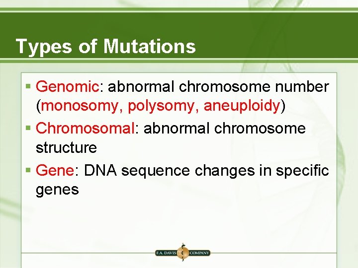 Types of Mutations § Genomic: abnormal chromosome number (monosomy, polysomy, aneuploidy) § Chromosomal: abnormal