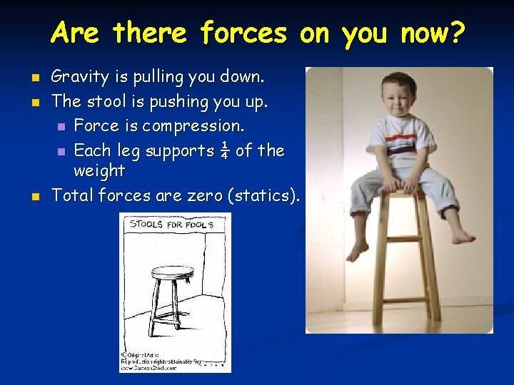 Are there forces on you now? n n n Gravity is pulling you down.