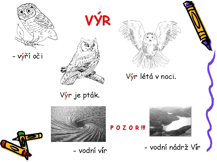 VÝR - výří oči Výr létá v noci. Výr je pták. P O Z