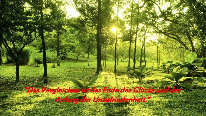 "Das Vergleichen ist das Ende des Glücks und der Anfang der Unzufriedenheit. " 