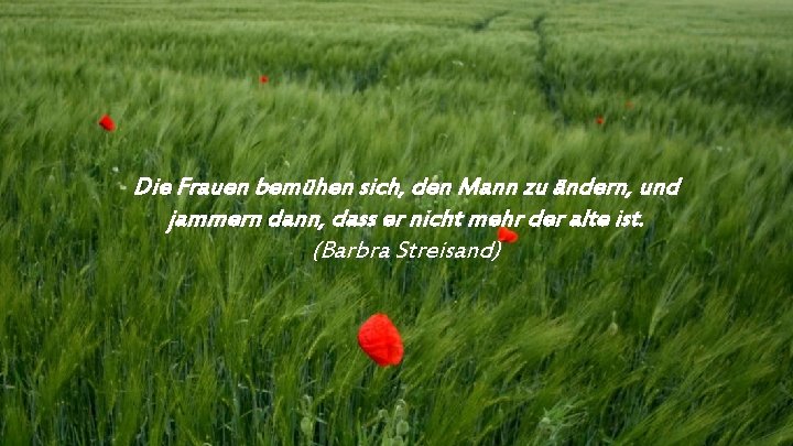 Die Frauen bemühen sich, den Mann zu ändern, und jammern dann, dass er nicht