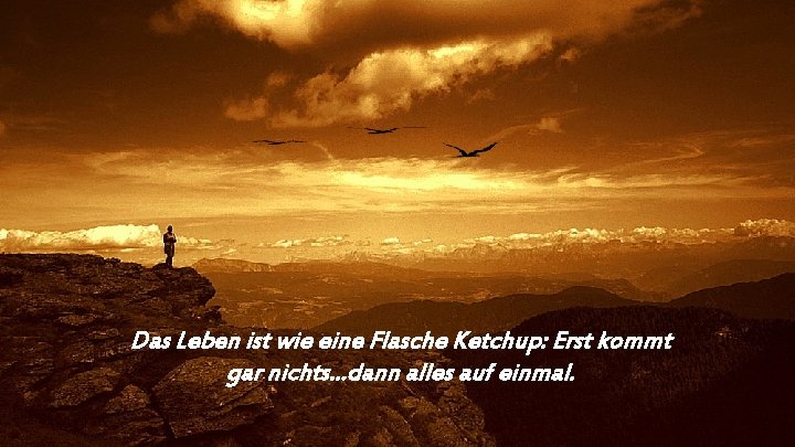Das Leben ist wie eine Flasche Ketchup: Erst kommt gar nichts. . . dann