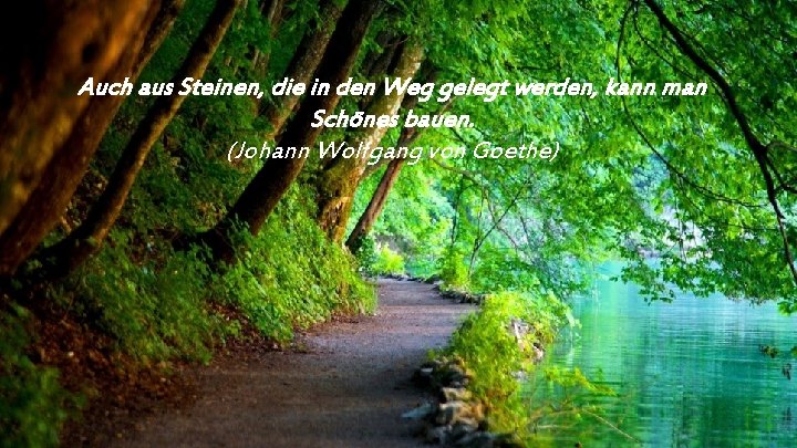 Auch aus Steinen, die in den Weg gelegt werden, kann man Schönes bauen. (Johann