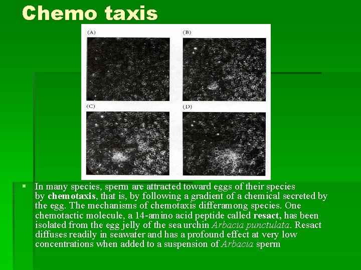 Chemo taxis § In many species, sperm are attracted toward eggs of their species