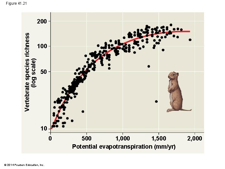 Figure 41. 21 Vertebrate species richness (log scale) 200 100 50 10 0 ©