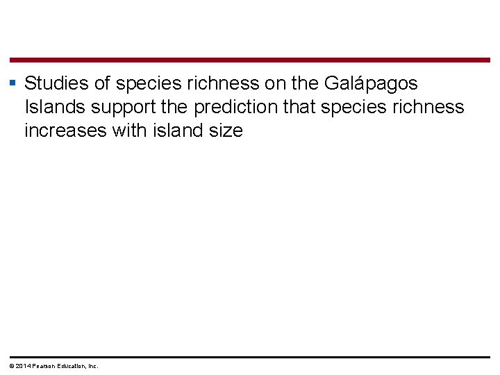 § Studies of species richness on the Galápagos Islands support the prediction that species