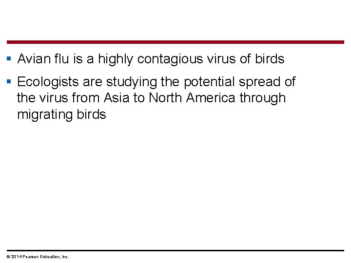 § Avian flu is a highly contagious virus of birds § Ecologists are studying