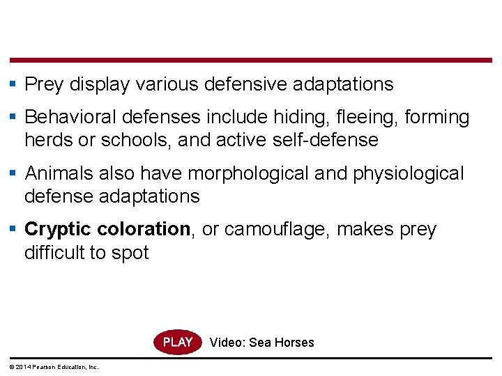 § Prey display various defensive adaptations § Behavioral defenses include hiding, fleeing, forming herds