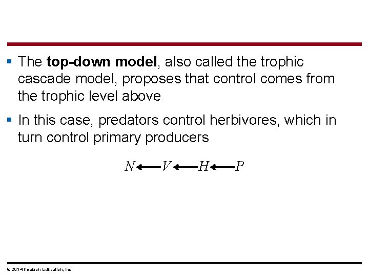 § The top-down model, also called the trophic cascade model, proposes that control comes