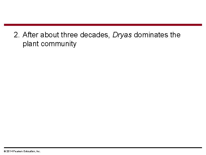 2. After about three decades, Dryas dominates the plant community © 2014 Pearson Education,