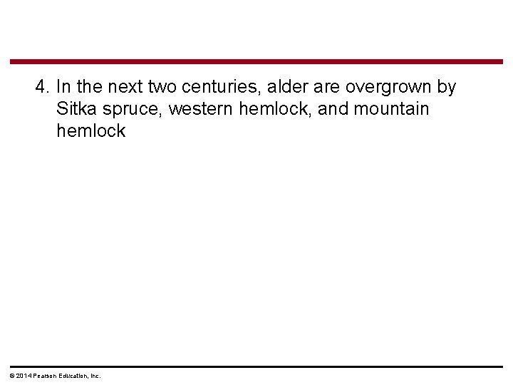 4. In the next two centuries, alder are overgrown by Sitka spruce, western hemlock,