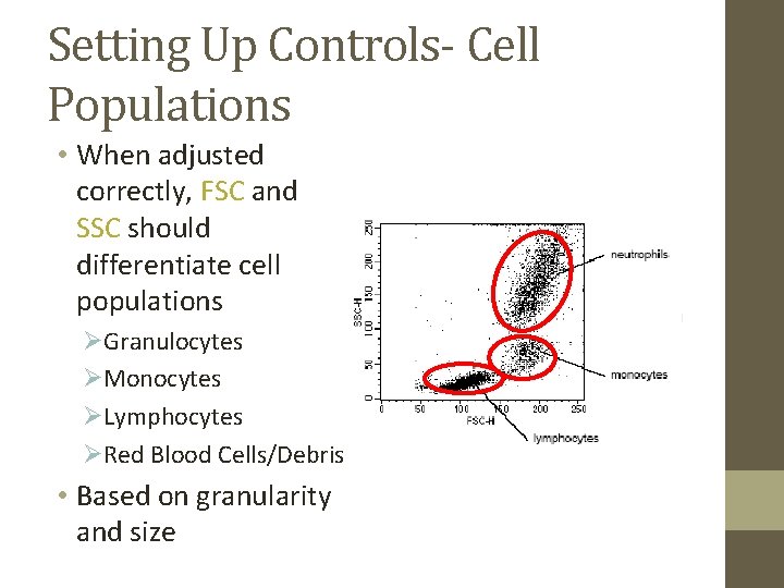 Setting Up Controls- Cell Populations • When adjusted correctly, FSC and SSC should differentiate