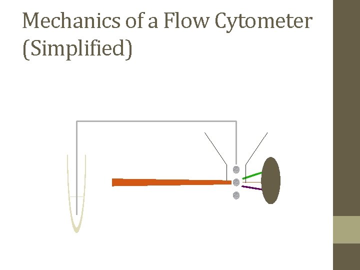 Mechanics of a Flow Cytometer (Simplified) 
