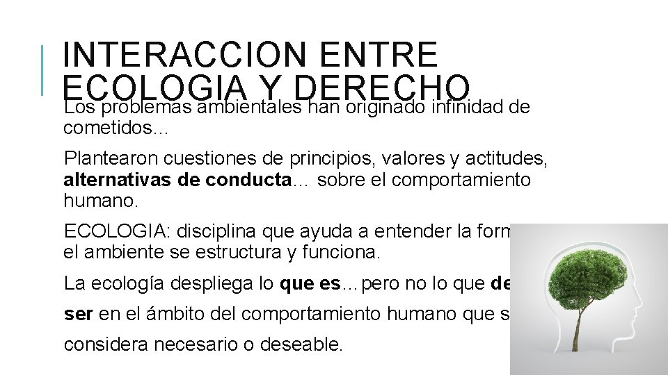 INTERACCION ENTRE ECOLOGIA Y DERECHO Los problemas ambientales han originado infinidad de cometidos… Plantearon