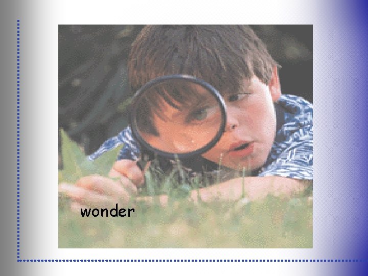 wonder 