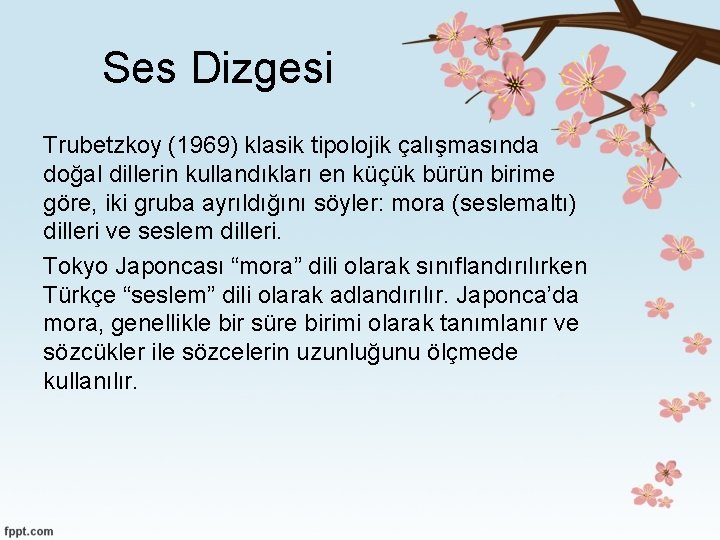 Ses Dizgesi Trubetzkoy (1969) klasik tipolojik çalışmasında doğal dillerin kullandıkları en küçük bürün birime